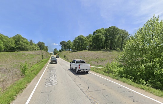 Injured Bear Put Down On Pickens Highway After Morning Crash