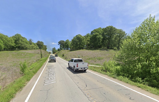 Injured Bear Put Down On Pickens Highway After Morning Crash
