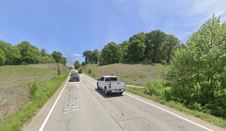 Injured Bear Put Down On Pickens Highway After Morning Crash