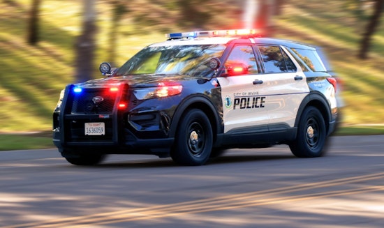 Irvine Man Arrested After Duckling Killed at Pool