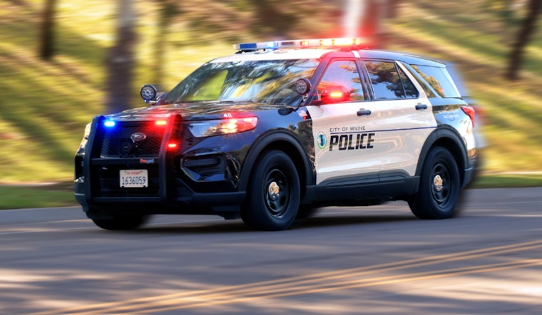 Irvine Man Arrested After Duckling Killed at Pool