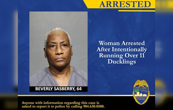 Jacksonville Driver Busted After Cops Say She Mowed Down 11 Ducklings