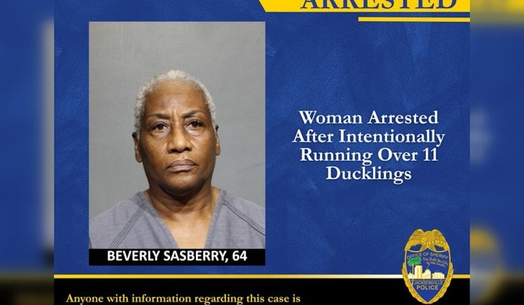 Jacksonville Driver Busted After Cops Say She Mowed Down 11 Ducklings