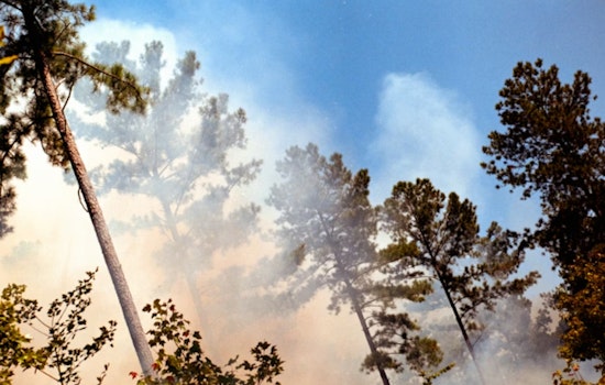 JBLM Burn Sends Smoky Haze Rolling Across South Sound