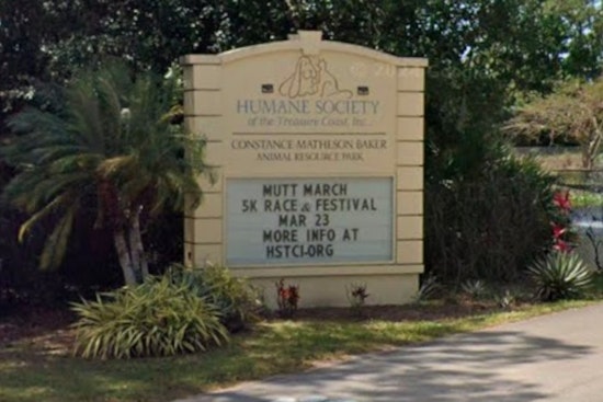 Jensen Beach Man Busted After Puppy’s Cocaine Exposure, Deputies Say