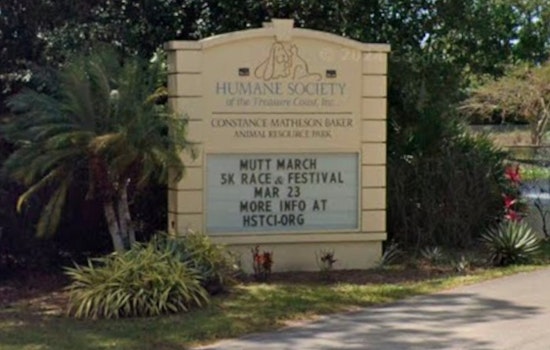 Jensen Beach Man Busted After Puppy’s Cocaine Exposure, Deputies Say