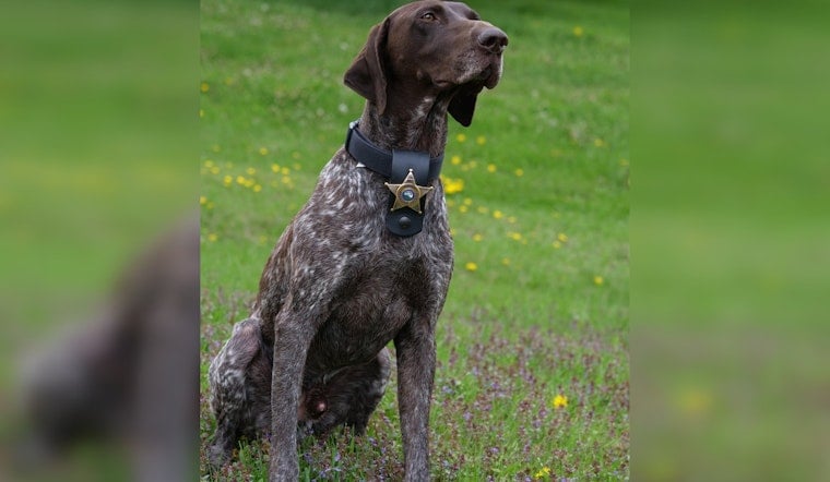 K-9 Willard Helps Hennepin Deputies Seize Fentanyl, Guns