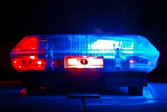 K9 Ace Drags Wanted Tampa Man Out Of Polk County Brush