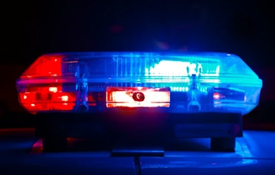 K9 Ace Drags Wanted Tampa Man Out Of Polk County Brush