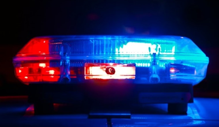 K9 Ace Drags Wanted Tampa Man Out Of Polk County Brush
