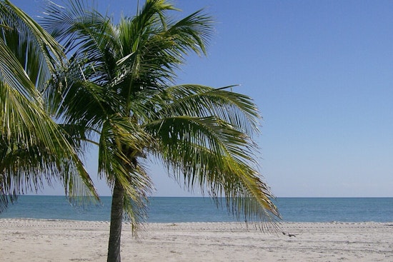 Key Biscayne Holiday Swim Plans Sunk By Fecal Bacteria Warning