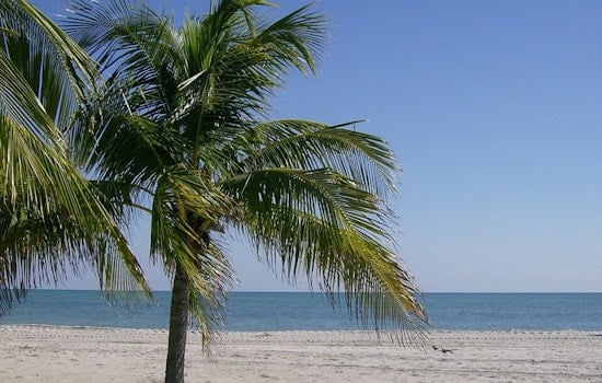 Key Biscayne Holiday Swim Plans Sunk By Fecal Bacteria Warning