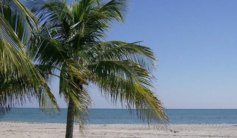 Key Biscayne Holiday Swim Plans Sunk By Fecal Bacteria Warning