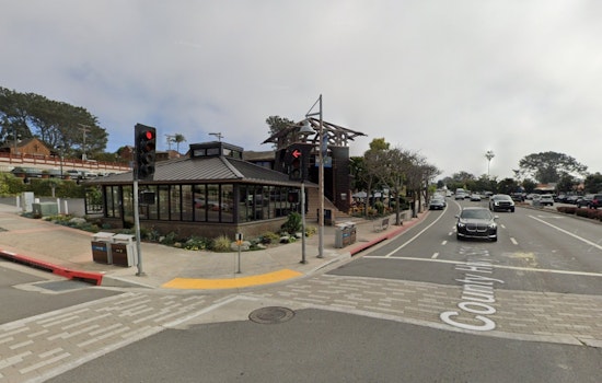 Kiwi Comfort Invasion Hits Del Mar Village