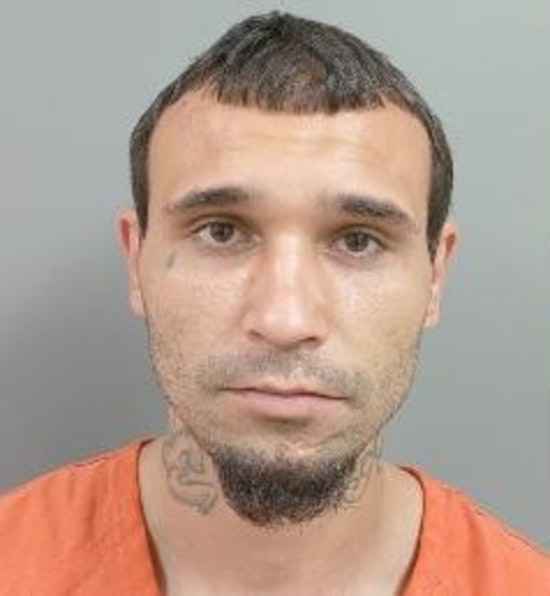 Lakeland Man Arrested After Stealing Backpack, Ramming Deputy