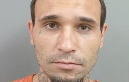 Lakeland Man Arrested After Stealing Backpack, Ramming Deputy