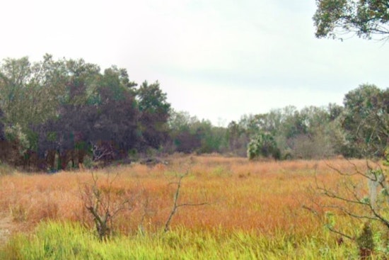 Lakeland's Project Swan Ruffles Feathers but Can't Match Fort Meade Giant