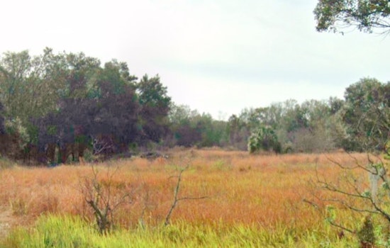Lakeland's Project Swan Ruffles Feathers but Can't Match Fort Meade Giant