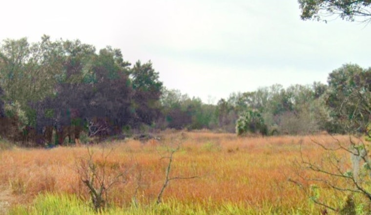 Lakeland's Project Swan Ruffles Feathers but Can't Match Fort Meade Giant