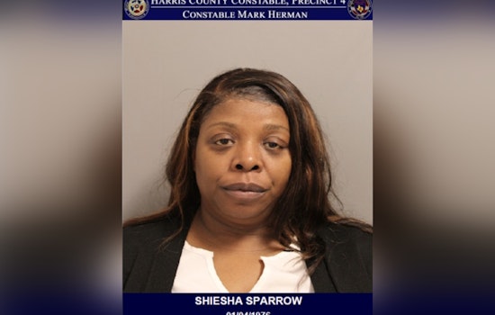 Lakewood Forest HOA Boss Busted In $53K Card-Spending Spree