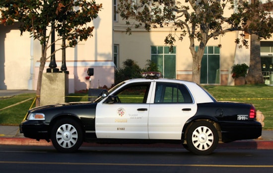 LAPD Sued Over Flock License Plate Cameras