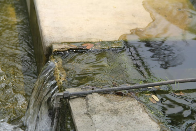 Las Vegas Mom Says Raw Sewage Is Turning Her Apartment Into A Health Hazard