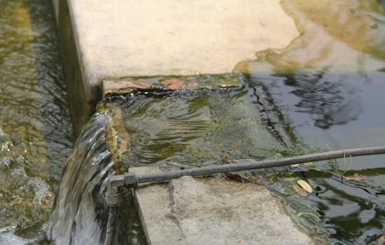 Las Vegas Mom Says Raw Sewage Is Turning Her Apartment Into A Health Hazard
