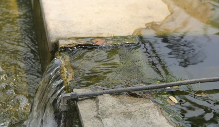 Las Vegas Mom Says Raw Sewage Is Turning Her Apartment Into A Health Hazard