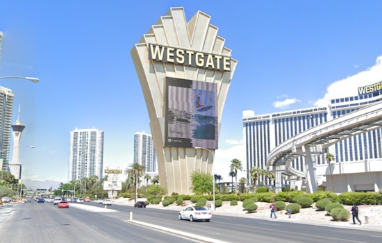 Las Vegas Nonprofit Arms EDC Crowd With Free Naloxone