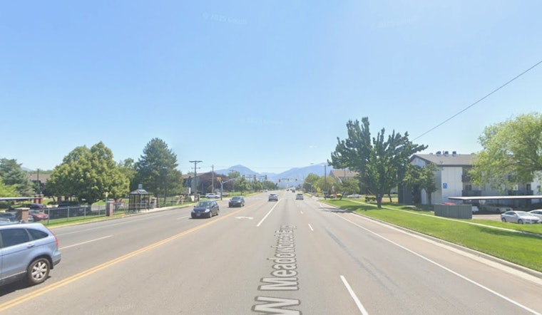 Late-Night Crash on Meadowbrook Leaves Pedestrian Fighting for Life
