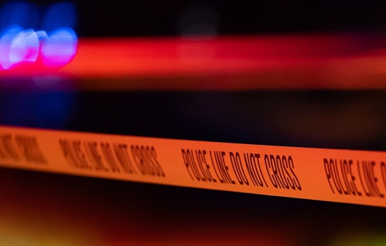 Late-Night Pond Plunge Near Powell Kills Dublin Driver