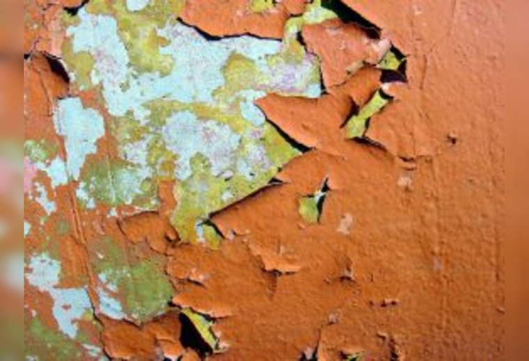 Lead Paint Flakes Found In St. Charles River