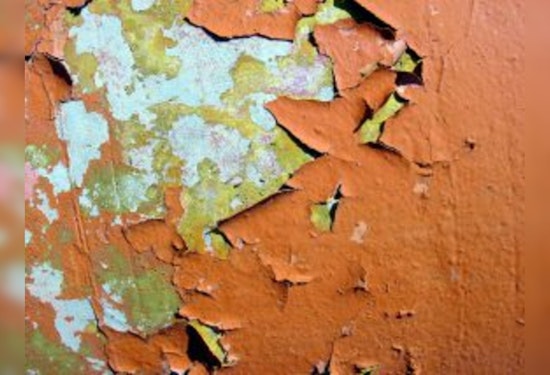 Lead Paint Flakes Found In St. Charles River