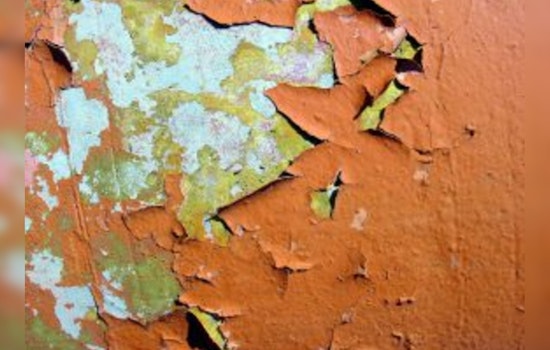 Lead Paint Flakes Found In St. Charles River