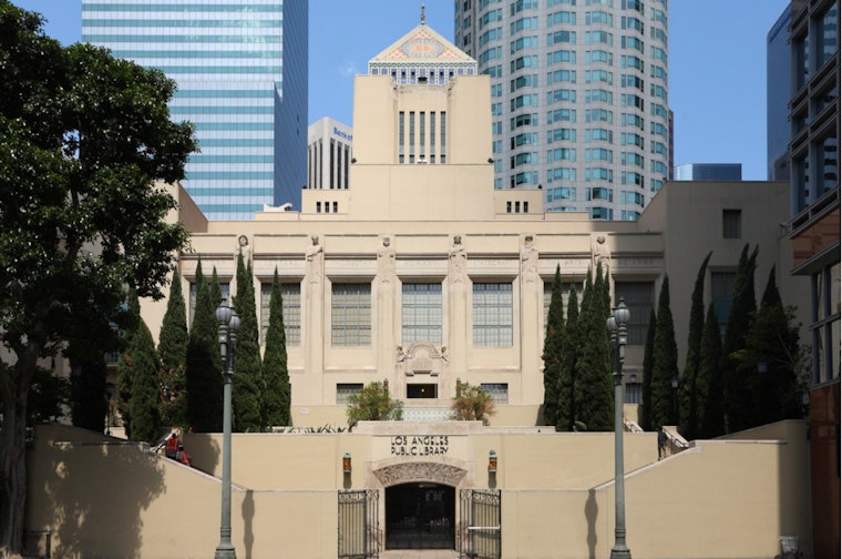 Library Meltdowns Across L.A. Ignite City Hall Clash Over Safety Policies