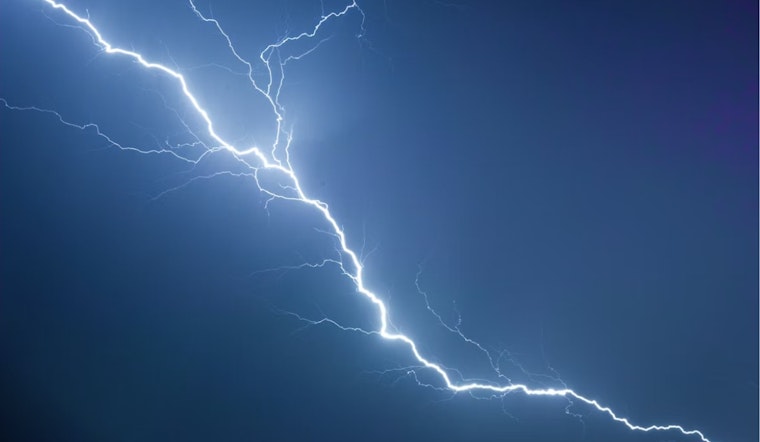 Lightning Bolt Kills 5 Rescue Horses At Winnsboro Refuge