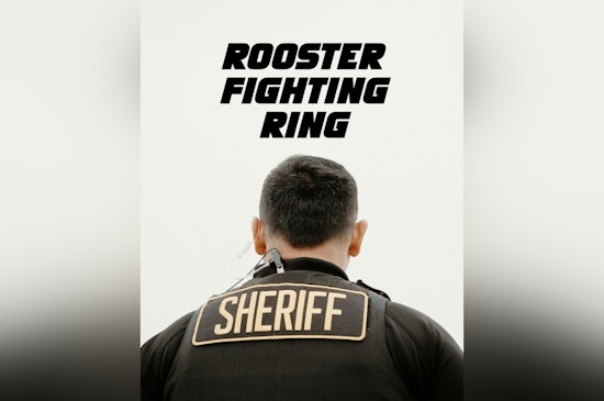 Lodi Orchard Swarmed As Deputies Bust Suspected Rooster Rumble