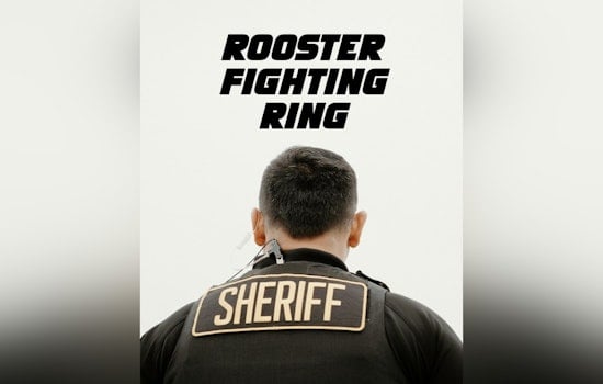 Lodi Orchard Swarmed As Deputies Bust Suspected Rooster Rumble