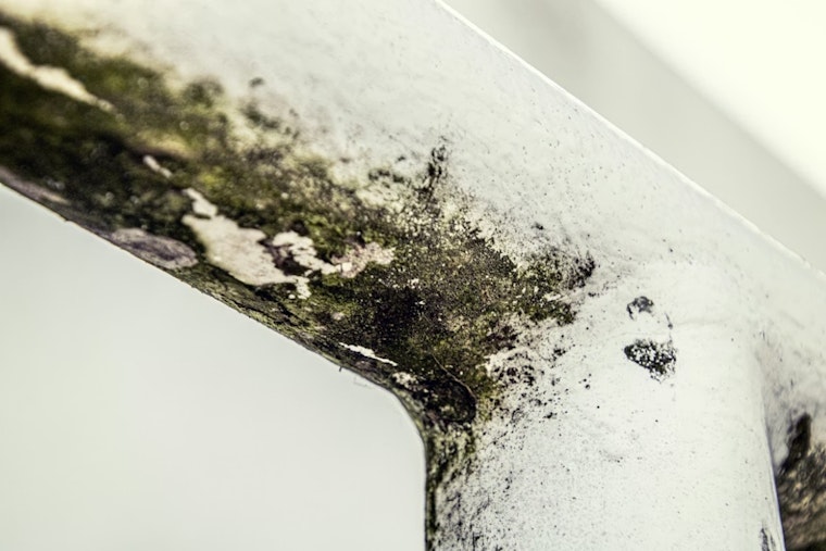 Lorain Mold Nightmare: Tenants Park Rent In Escrow As Ceilings Crumble