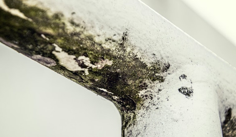 Lorain Mold Nightmare: Tenants Park Rent In Escrow As Ceilings Crumble