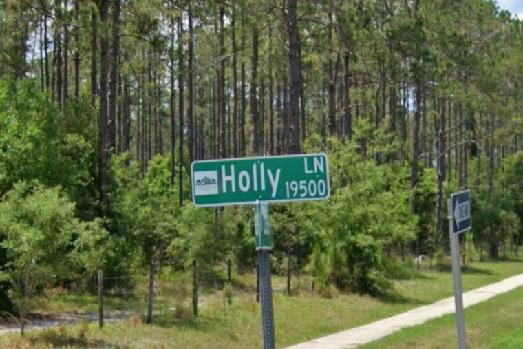 Lutz Neighbors Go To War Over 1,000-Student School Plan On Holly Lane