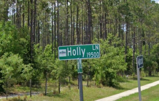 Lutz Neighbors Go To War Over 1,000-Student School Plan On Holly Lane