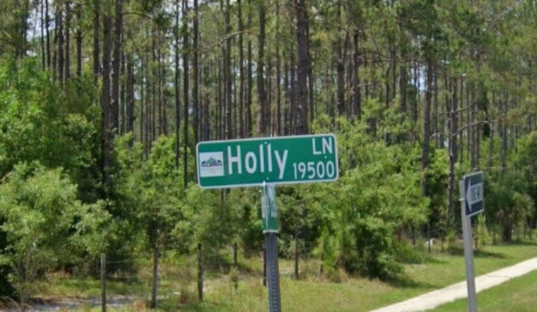 Lutz Neighbors Go To War Over 1,000-Student School Plan On Holly Lane