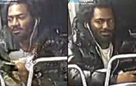 Main Street Beatdown: Flushing Cops Hunt Late-Night Attacker