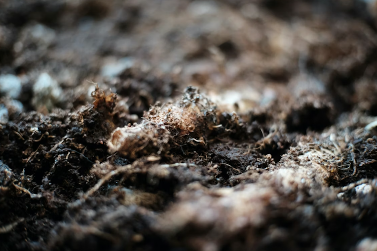 Maryland Opens East Coast's First Human Composting Facility