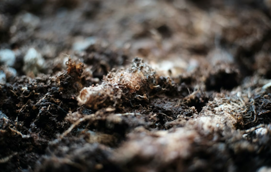 Maryland Opens East Coast's First Human Composting Facility