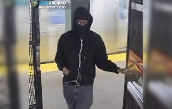 Masked Groper Wanted After Late-Night Carroll Gardens Attack