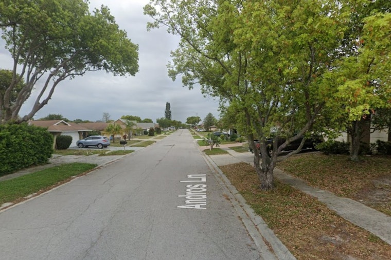 Masked Trio Busted After Late-Night Port Richey Truck Raids