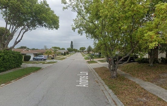 Masked Trio Busted After Late-Night Port Richey Truck Raids