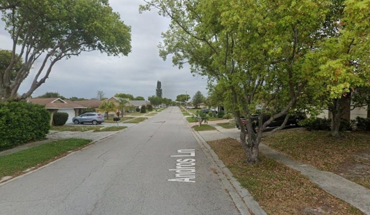 Masked Trio Busted After Late-Night Port Richey Truck Raids